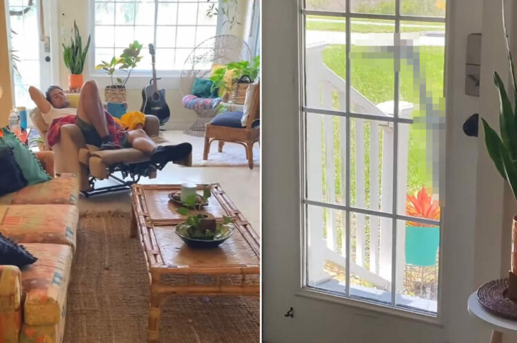 つるの恩返し！？玄関のドアをつるがトントン！遊びに来る