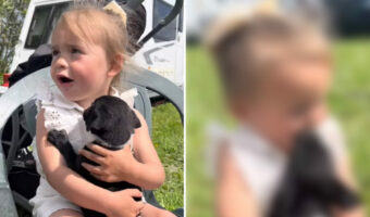 初めて会った瞬間から仲良しな2歳の女の子と子犬。お互いに惹かれ合ったのか、仲睦まじくしているその姿とても尊い【海外・動画】