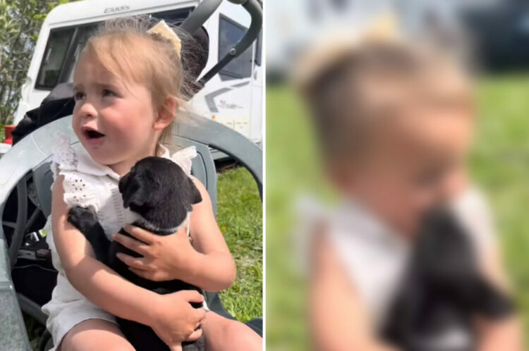 初めて会った瞬間から仲良しな2歳の女の子と子犬。お互いに惹かれ合ったのか、仲睦まじくしているその姿とても尊い【海外・動画】