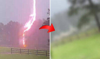衝撃の落雷映像!馬牧場の電気柵に雷が直撃!!!一瞬にして電気柵は爆発し煙を上げた!