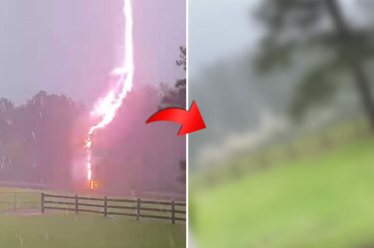 衝撃の落雷映像！馬牧場の電気柵に雷が直撃！！！一瞬にして電気柵は爆発し煙を上げた！