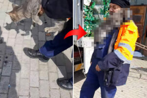 男性の腕からおりたくなかった猫。地面におろされると、愛おしくてたまらない反応を見せました！【海外・動画】