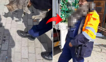 男性の腕からおりたくなかった猫。地面におろされると、愛おしくてたまらない反応を見せました!【海外・動画】