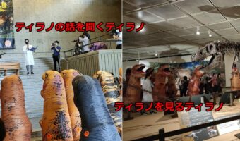 鳥取県のティラノサウルス推しが話題!鳥取県立博物館で「ティラノサウルス展を見るティラノサウルス展」開催?