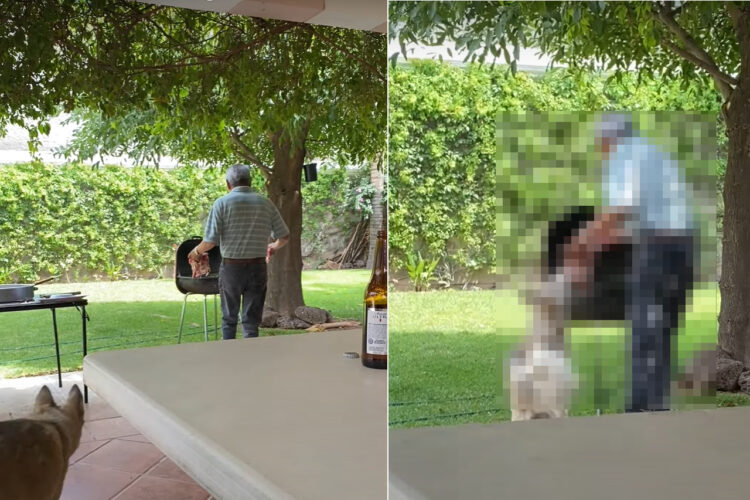 肉ドロボウ！！おじいちゃんがBBQグリルで焼こうとしたステーキを隙をついて愛犬が奪う！