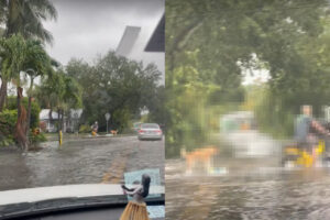 洪水になった街で・・。飼い主さんに連れられて、まさかのアクティビティをしている犬の姿がありました！！【アメリカ・動画】