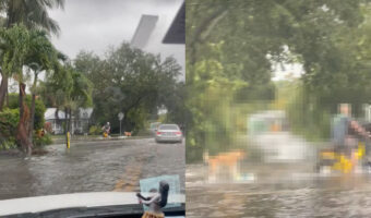洪水になった街で・・。飼い主さんに連れられて、まさかのアクティビティをしている犬の姿がありました！！【アメリカ・動画】
