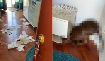 自分がダメなことをしたのは分かっているみたい。リビングに散らばるイタズラを満喫した痕跡。このイタズラをしでかした当人は・・【海外・動画】