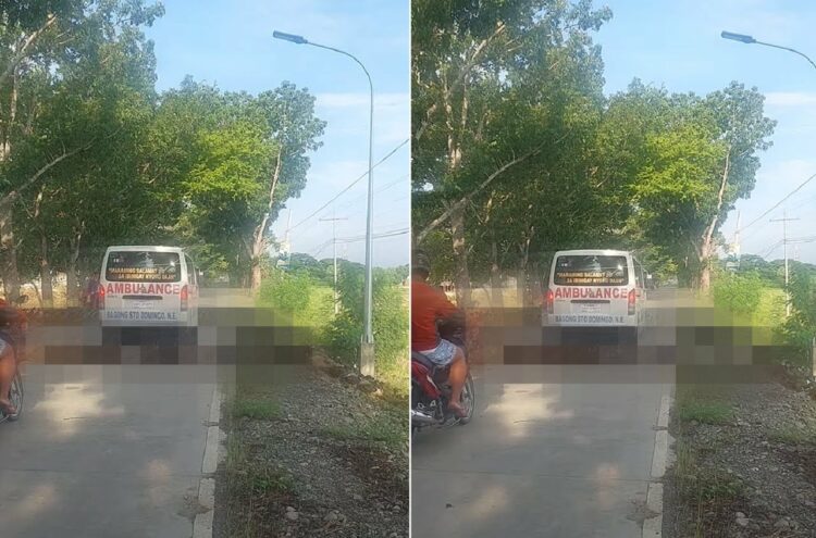 しばらく車を発進させることはできそうもありません・・。なんと道路を『ある動物』が行列をなして横断している最中だったのです！【海外・動画】