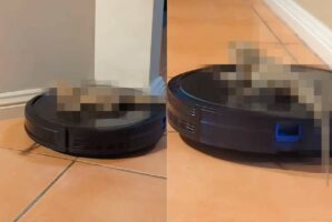 ロボット掃除機を乗りこなしているのは・・、犬や猫ではなく『意外な生き物』！その姿は優雅にドライブをしているみたいです【海外・動画】