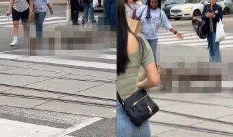 きれいな列を作って横断歩道を上手に渡るのは『あの動物』!?その姿に周囲の人も事故が起きないように、そばで見守っています【海外・動画】