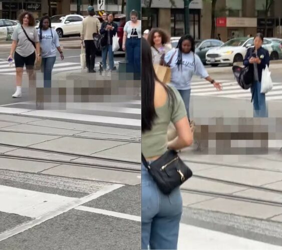 きれいな列を作って横断歩道を上手に渡るのは『あの動物』！？その姿に周囲の人も事故が起きないように、そばで見守っています【海外・動画】