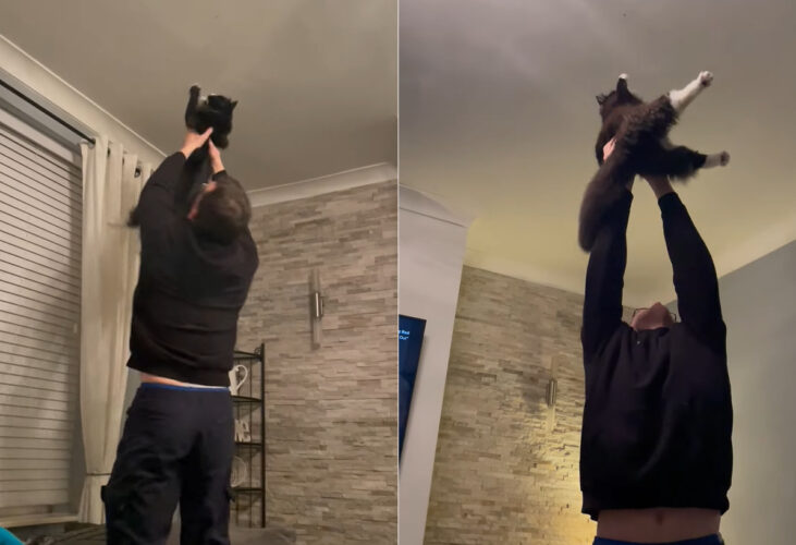 協力し合う男性と猫。ふたりは天井近くにいる虫を捕らえたいようですが・・、果たして捕まえることができるのでしょうか？【海外・動画】