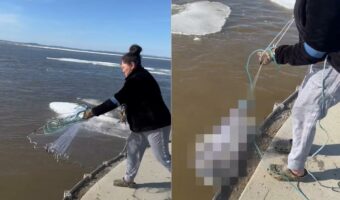 投網を海に向けて無造作に放った女性。すぐさま引き上げると思いもよらぬ大漁に驚愕！【アメリカ・動画】