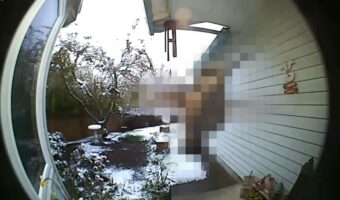 朝早くに玄関へやって来たお客さん!誰が来たのかと玄関カメラをチェックするとそこには予想外のお客さん!!