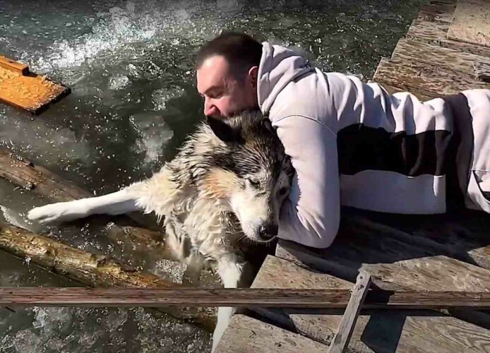 氷が張った池から脱出できなくなったハスキー犬。男性による懸命の愛犬の救出活動を繰り広げられました