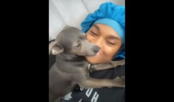 一瞬フリーズしてからそっと寄り添う・･・飼い主さんのキスに対する子犬のリアクションがかわいい！
