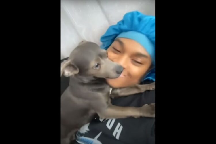 一瞬フリーズしてからそっと寄り添う・･・飼い主さんのキスに対する子犬のリアクションがかわいい！