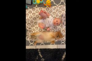 仲良く寝転がる赤ちゃんと子犬の姿にほっこり。赤ちゃんがちょっかいを出すと・・、そっぽを向いちゃう！？【海外・動画】