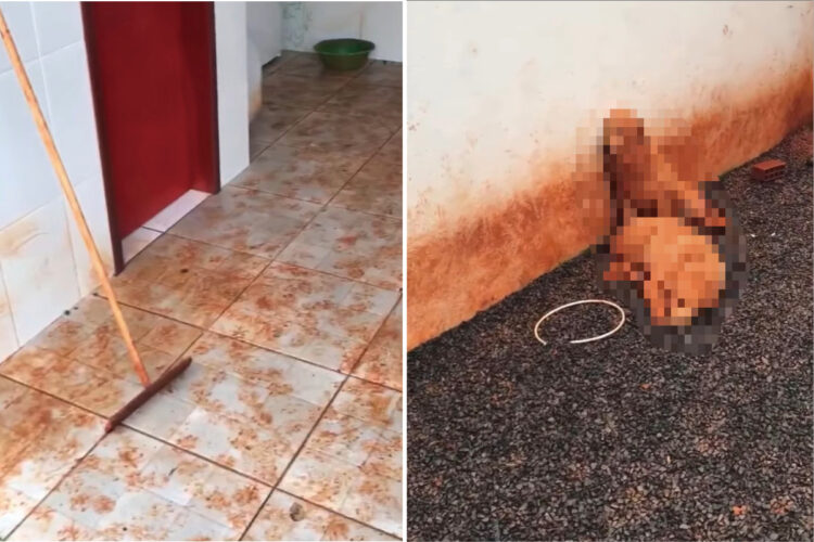 床や壁が泥だらけになっている雨の日。洪水でもあったのかと思いきや、庭には泥遊びを満喫したと思われる子たちの姿がありました【海外・動画】