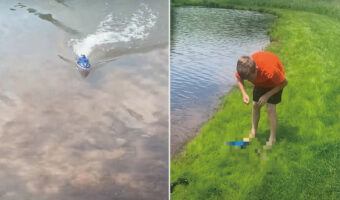 池にラジコンボートを浮かべて遊んでいる男の子。実はこの男の子、もう一つの遊びも同時に楽しんでいたのです!!【アメリカ・動画】