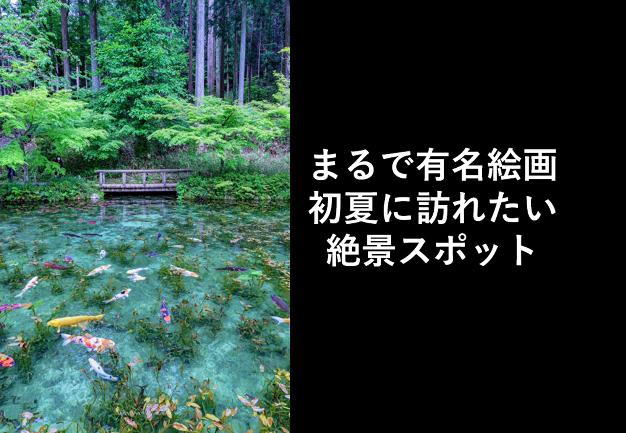 まるで絵画！今年も『モネの池』が美しい季節がやって来た