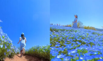 これは目から鱗!スマホで素敵な動画を取る方法を紹介した動画に感動