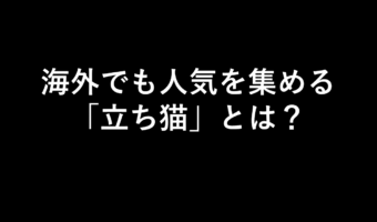 海外からも人気!立ち猫の写真に癒される人続出