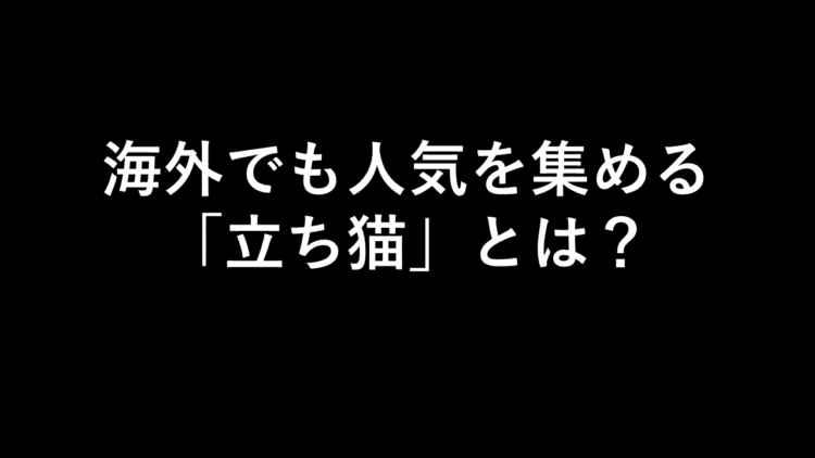 海外からも人気！立ち猫の写真に癒される人続出