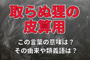 「取らぬ狸の皮算用」とはどんな意味？その成り立ちや類義語は？