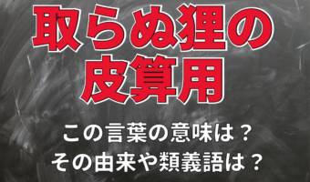 「取らぬ狸の皮算用」とはどんな意味?その成り立ちや類義語は?