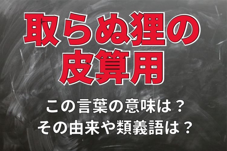 「取らぬ狸の皮算用」とはどんな意味？その成り立ちや類義語は？