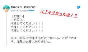 【野菜ライフハック】知らなかった!小松菜は冷凍して保存して加熱せず食べられる?!