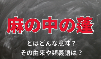 「麻の中の蓬」とはどんな意味?麻や蓬が直接関係する言葉なの?