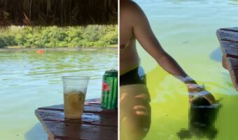 パラソルの下は水中だし!男性は人懐っこい魚をペットみたいに撫でているし!!SNS映えしそうだけどその光景が不思議すぎる!!【海外・動画】