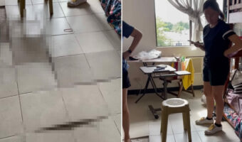 【700万再生突破】床下になにかいるの?!2年ぶりに所有する住戸にやって来た家族を待ち受けていたのは・・