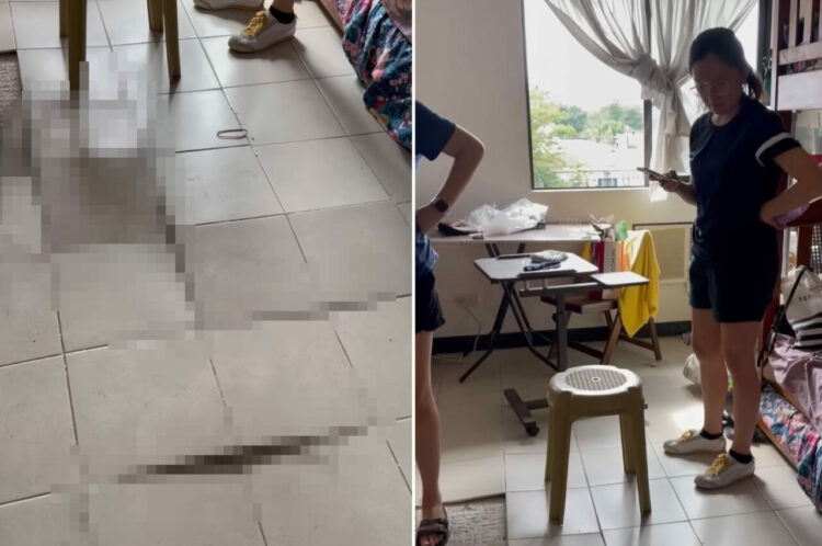 【700万再生突破】床下になにかいるの？！2年ぶりに所有する住戸にやって来た家族を待ち受けていたのは・・