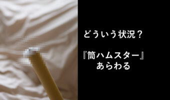そんな綺麗にハマる?『筒ハムスター』がシュールで可愛い!