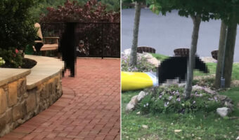 アミューズメントパークに姿をあらわした珍客。その正体は・・・猛獣として知られる『あの動物』でした！！【アメリカ・動画】