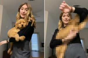 大好きなママさんと離れたくない子犬。腕にギュッとしがみついてママさんが仕事に行くのを阻止します！【アメリカ・動画】