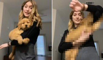 大好きなママさんと離れたくない子犬。腕にギュッとしがみついてママさんが仕事に行くのを阻止します！【アメリカ・動画】