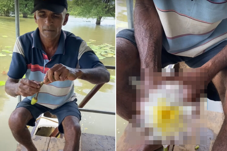 つぼみの状態のスイレンの茎をリズミカルに折っていく男性。すると、あっという間に『素敵なもの』ができあがりました！！【海外・動画】