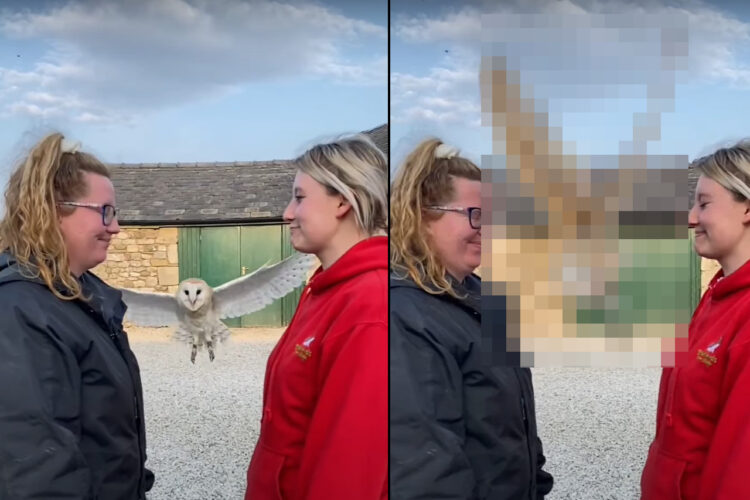 至近距離で向かい合っている2人の女性。するとそこにメンフクロウがやってきて・・、スゴい技を見せてくれました！【海外・動画】