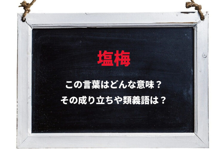 「塩梅」とは、どんな意味の言葉？塩や梅が関係あるの？その由来とは！