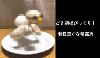 【お盆】ご先祖さまもビックリ!乗り心地抜群の精霊馬『アヒル号』が話題に!
