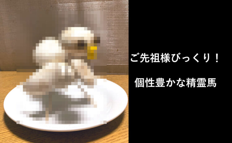 【お盆】ご先祖さまもビックリ！乗り心地抜群の精霊馬『アヒル号』が話題に！