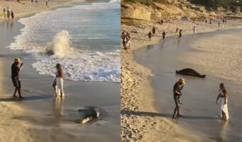 ビーチでSNS用撮影に夢中になっている男女!すぐ横で動画を回したらバズるオモシロ事件が起きてますよー!