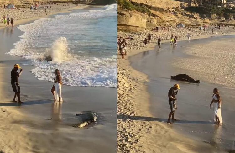 ビーチでSNS用撮影に夢中になっている男女!すぐ横で動画を回したらバズるオモシロ事件が起きてますよー！