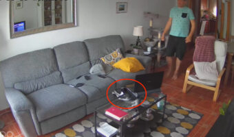 飼い主さんが近付いてきたのでダッシュで移動しようとした猫。その直後、飼い主さんを呆然とさせる事故を起こしていきました【海外・動画】