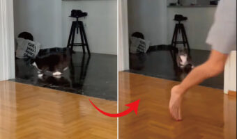 床でくつろぐ猫を追いかけ驚かせた男性。猫は逃げていったと思った数秒後、猫の逆襲が始まりました!!【海外・動画】